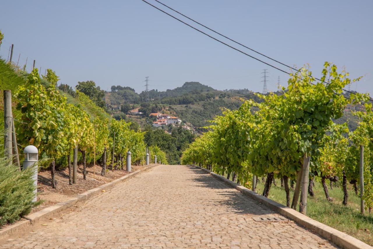 拜昂Quinta Da Granja公寓 外观 照片